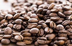 定休日変更のご案内